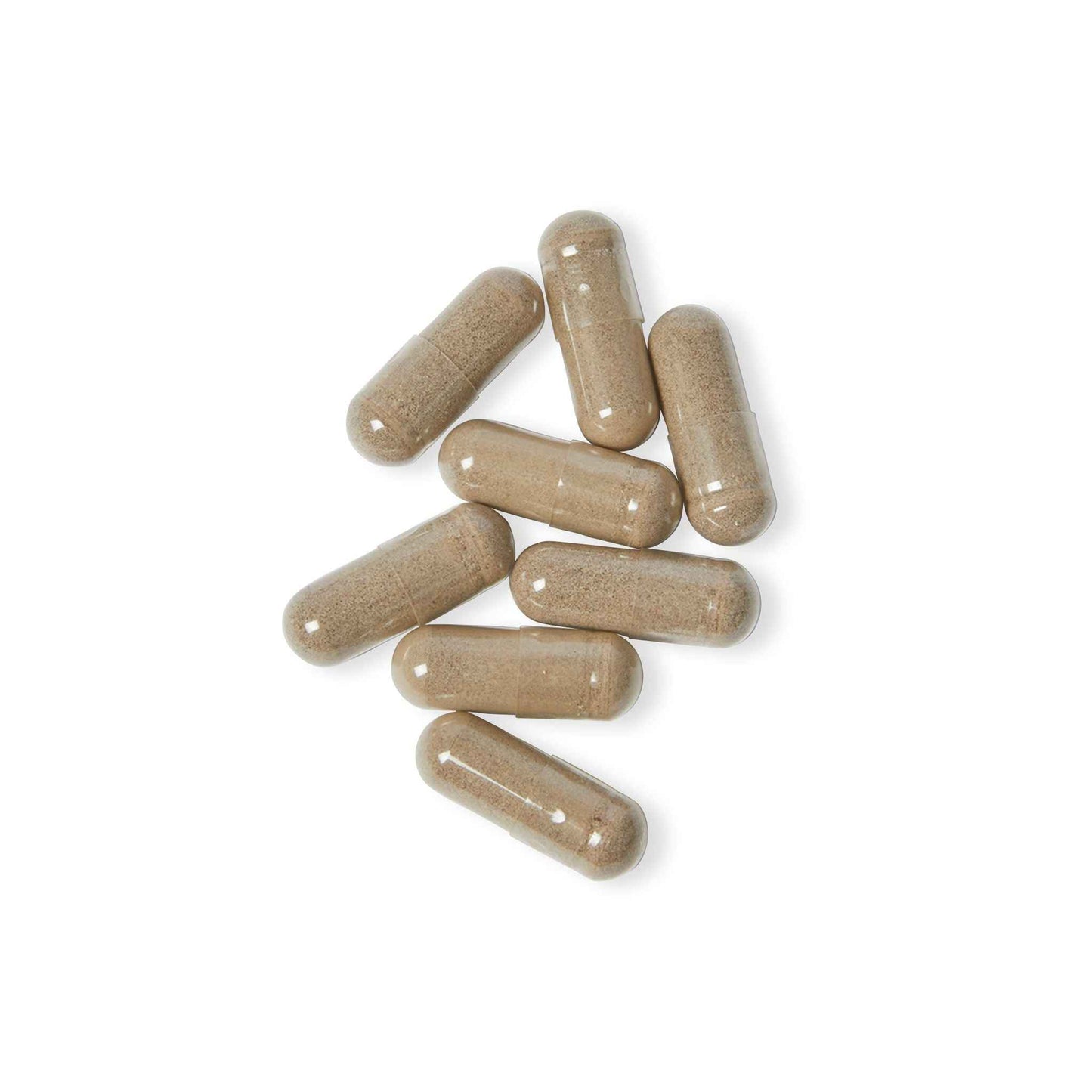 Starz Men's Sea Moss Supplement (60 Capsules)